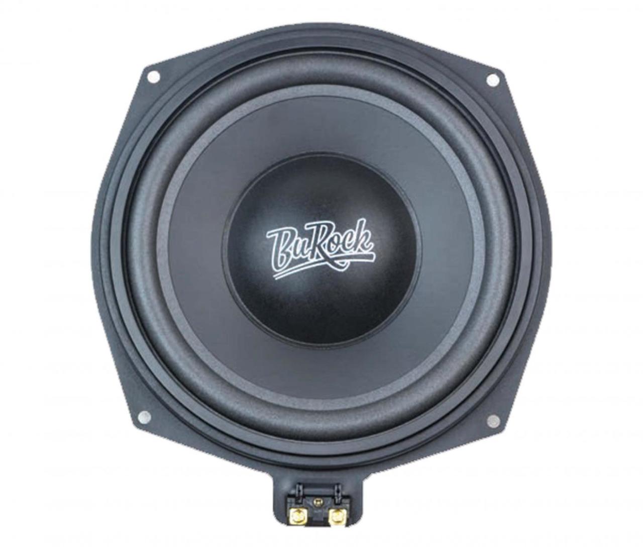 BR-300